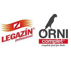 Legazin