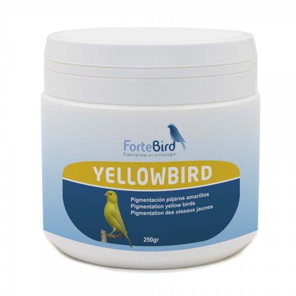7033YELLOWBIRD250GR-600x600