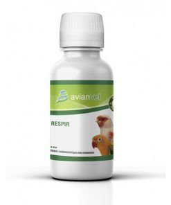 Sistema respiratorio - Digestivo