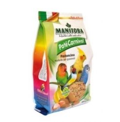 Cotorras y loros