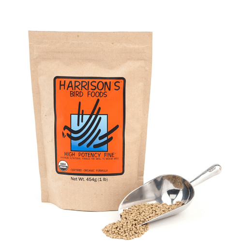 Harrison-Pienso-Fino-Alta-Energía
