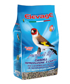 Mixturas silvestres