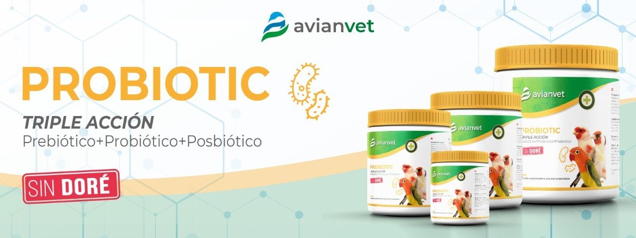 .AVIANVET