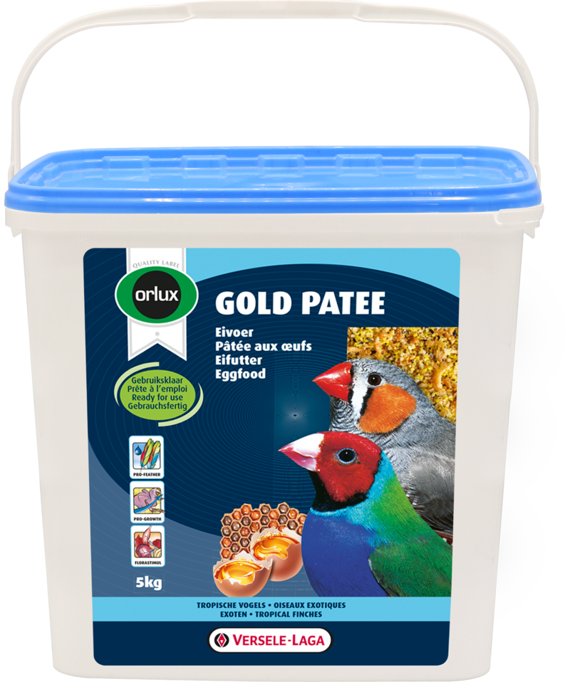 5410340241677pack